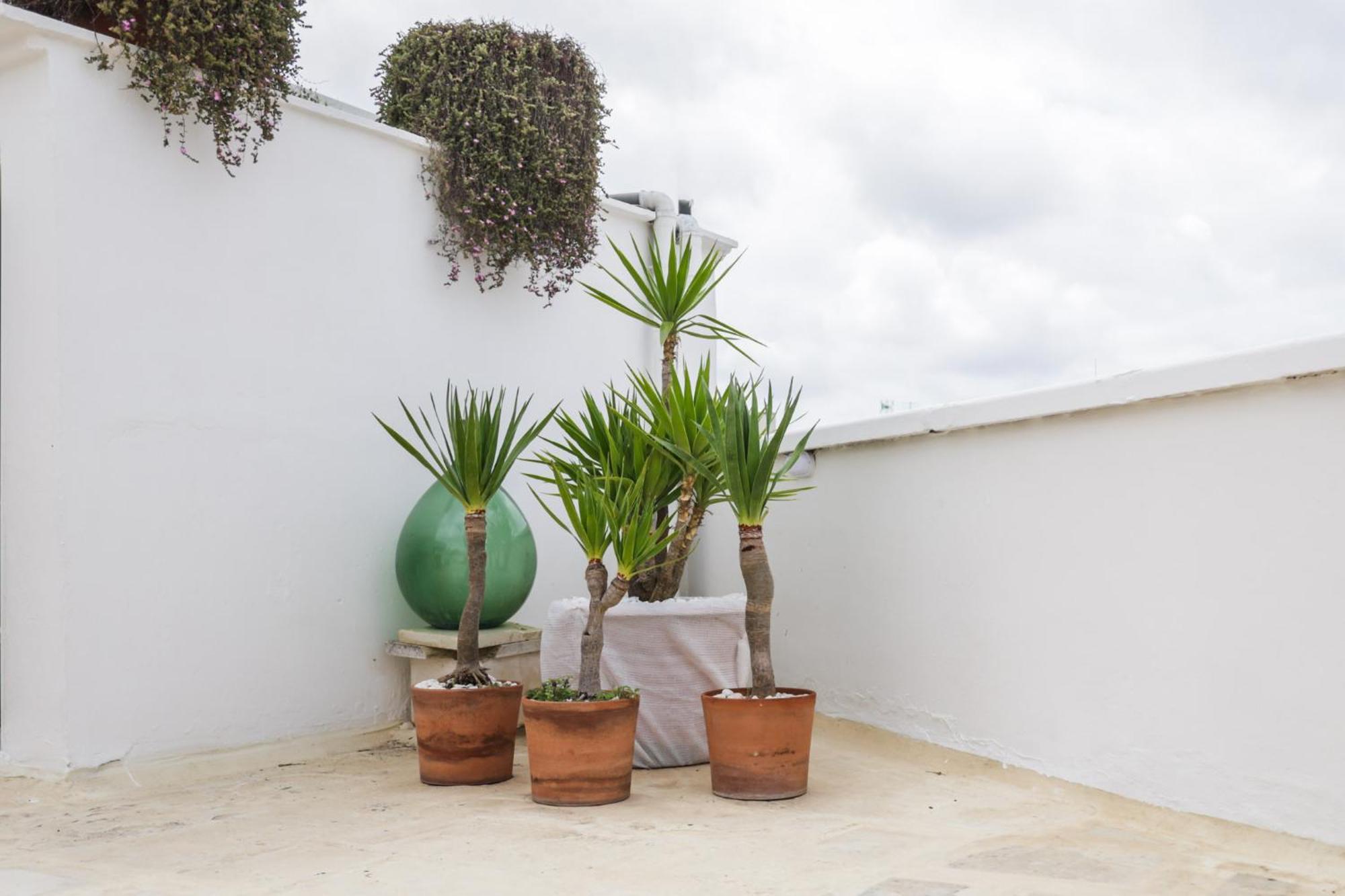 Sea Suites Ugento Exterior foto